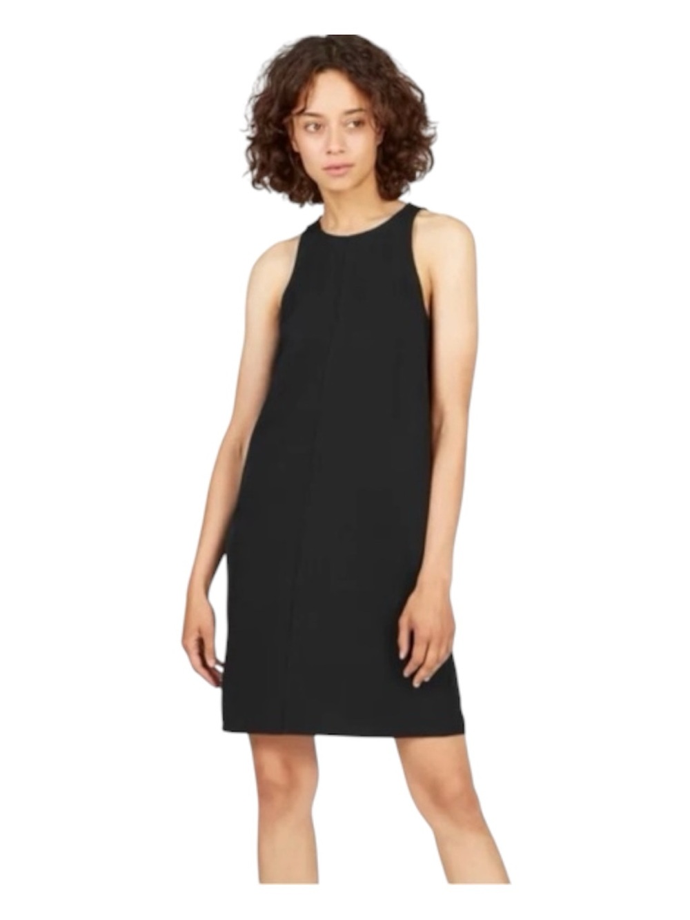 Everlane Black Sleeveless Shift Dress